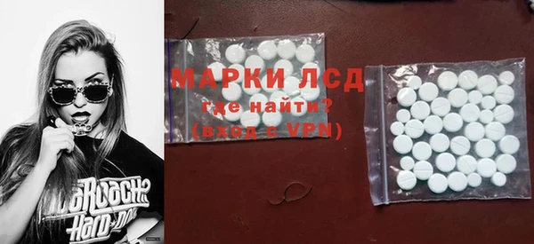хмурый Белокуриха