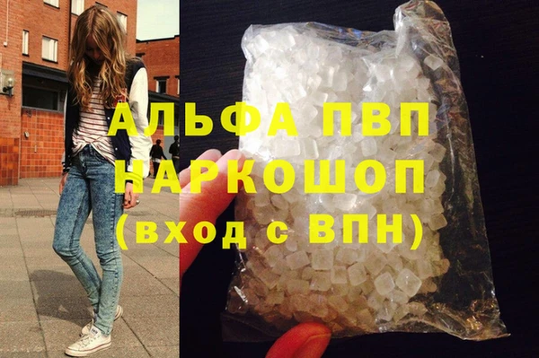 хмурый Белокуриха