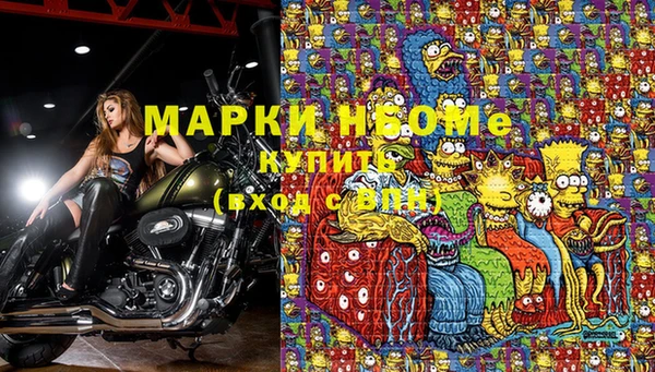 хмурый Белокуриха