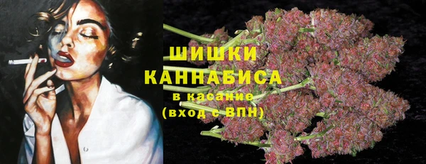 гашик Богородицк